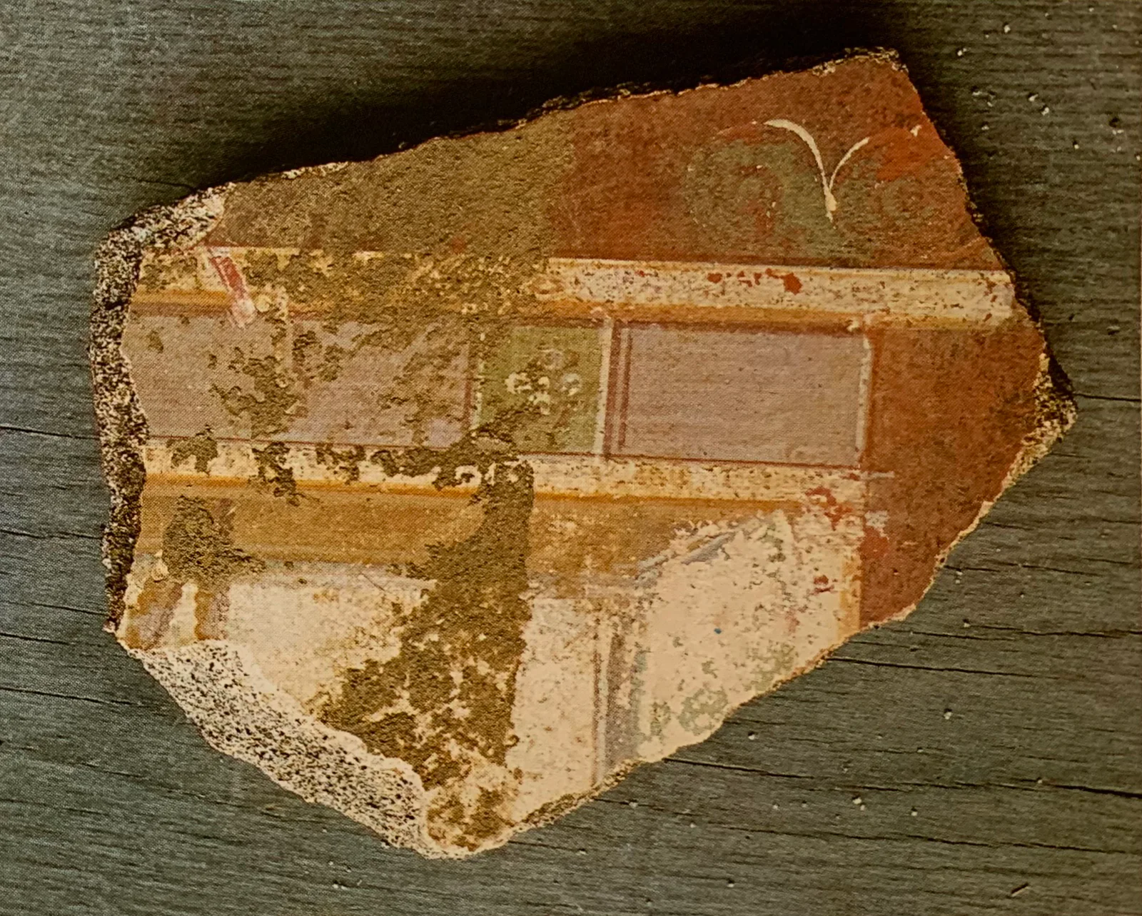 Wall painting fragment from the House of the Labyrinth, Pompeii