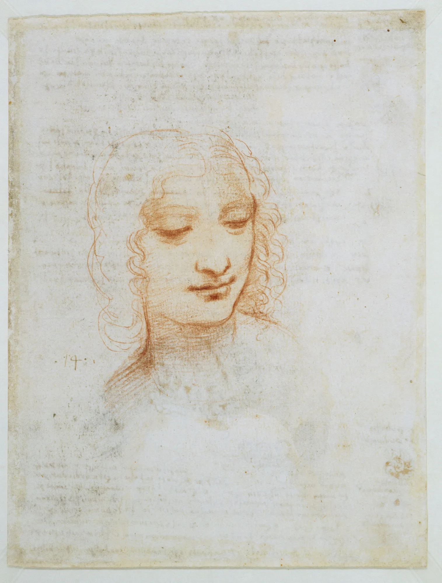 Leonardo’s study of a woman’s head offers a closer parallel to the softened contours and inward expression associated with the Mona Lisa. The head of a woman, Leonardo da Vinci, c. 1510–13, black and red chalk on paper.